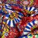 Кади «DOLCE & GABBANA» отрез 4 метра от 220 руб.